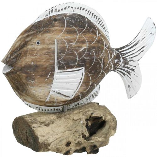 Floristik24 Dekorační rybka dřevěný stojan na kořen Námořní dekorace 27cm