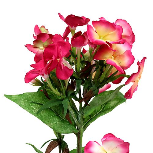 Floristik24 Plamenný květ růžový 72cm