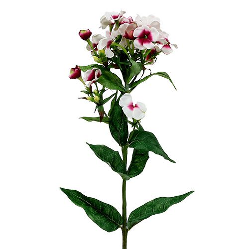 Floristik24 Plamenný květ bílý 72cm