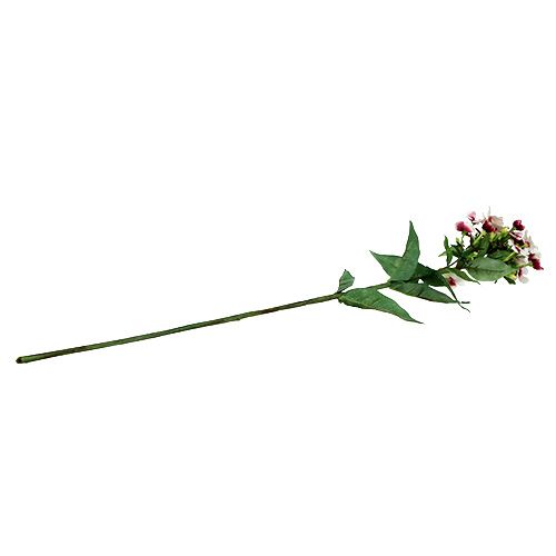 Floristik24 Plamenný květ bílý 72cm