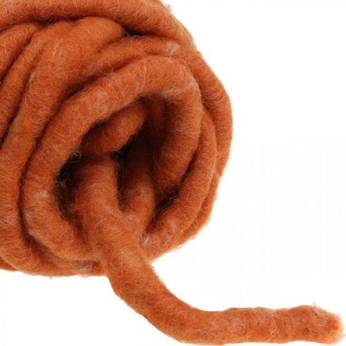 Floristik24 Plstěná šňůra, vlněná šňůra, plstěná šňůra, ovčí vlna, juta, oranžová, L30m