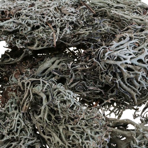 položky Lišejník lišejník stromový mech dekorativní mech přírodní 1kg