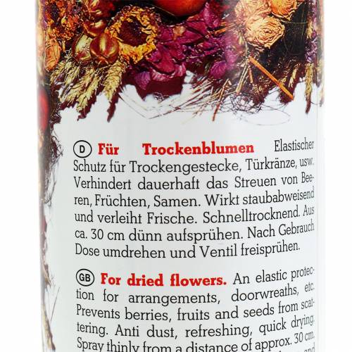 Floristik24 Flora Dry Fix sprej 400ml