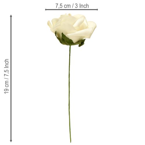 položky Pěnové růže se stonkovými květy pěnový krém Ø7,5cm 18 ks