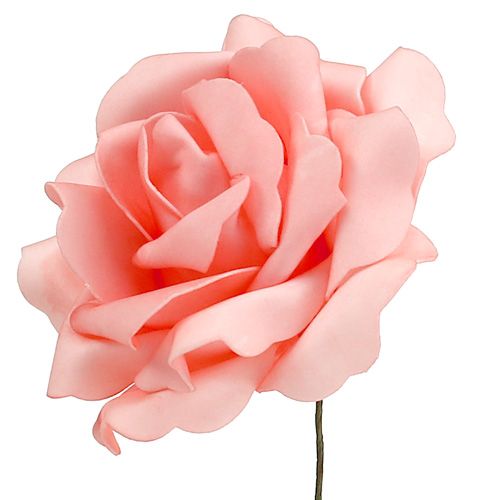 Floristik24 Pěnová růže Pěnová růže losos Ø15cm 4 ks