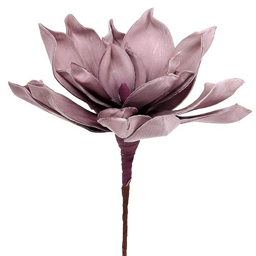 Floristik24 Pěnový květ Magnolia Berry Ø15cm L67cm