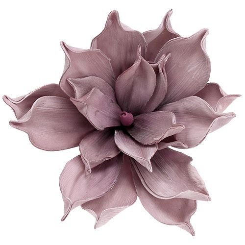 Floristik24 Pěnový květ Magnolia Berry Ø15cm L67cm