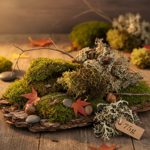 položky Dekorativní mech na tvoření, směs zeleného a světle zeleného přírodního mechu, 75g