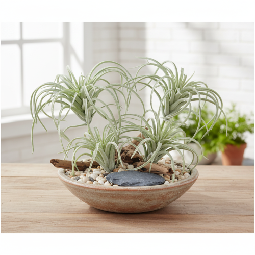 položky Tillandsia sukulentní umělé zelené rostliny 13cm