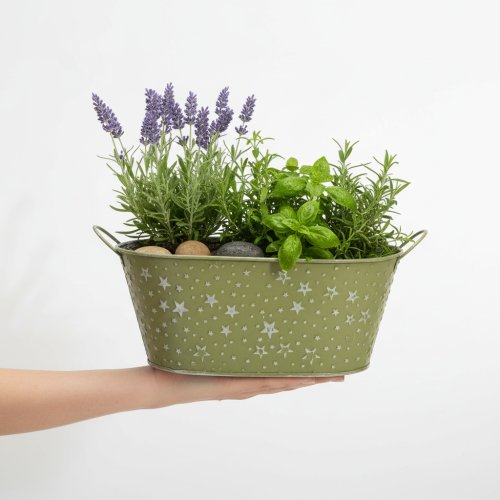 položky Oválná kovová miska s hvězdami a uchy, zelená, 31×16 cm, V 12,5 cm