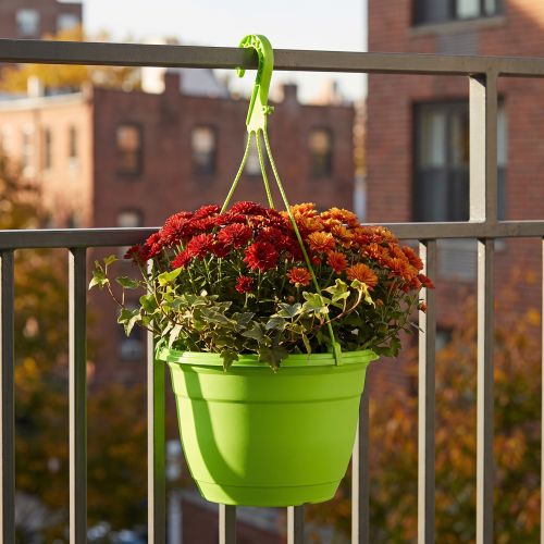 Závěsný košík 25cm zelený | Floristik24.cz