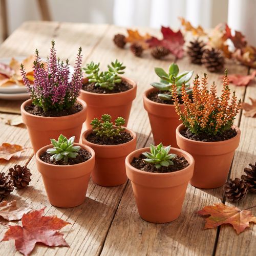 Hliněný květináč, Ø5cm, výška 4cm, 10 kusů | Floristik24.cz