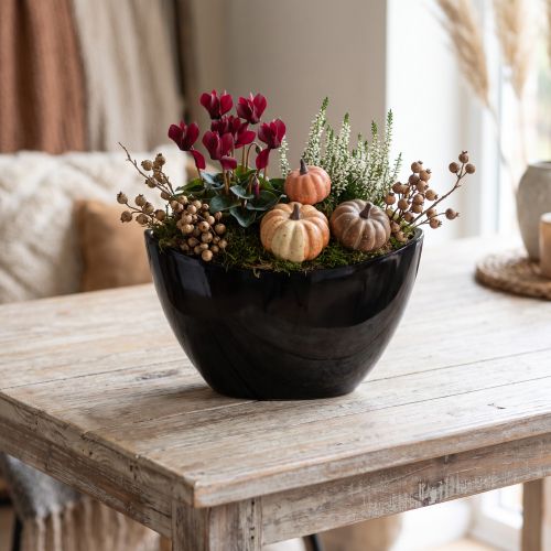 Dekorativní miska černá oválná rostlinná loď 24x9,5cmx14,5cm | Floristik24.cz