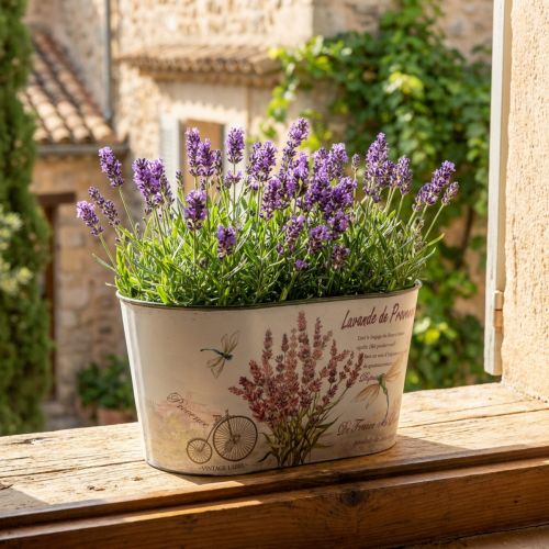 Květináč oválný levandulový květináč plastový 21,5×12,5cm V11cm | Floristik24.cz