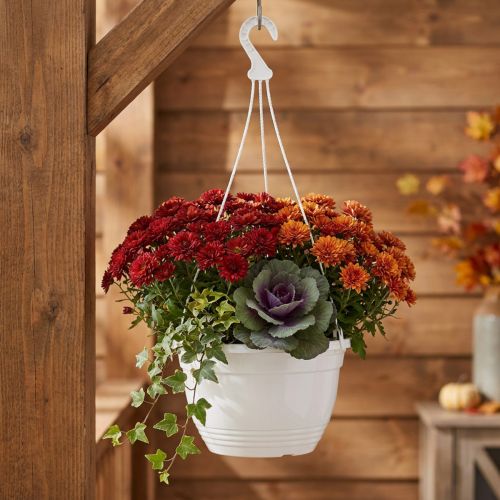 Závěsný košík Ø30cm bílý | Floristik24.cz