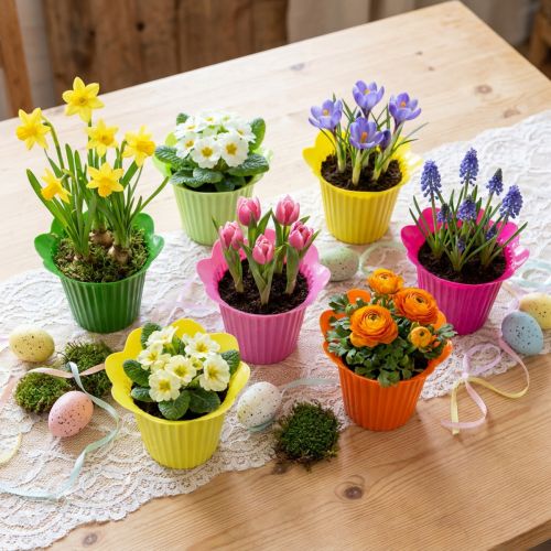Plastová květináč Ø12cm 25 ks | Floristik24.cz