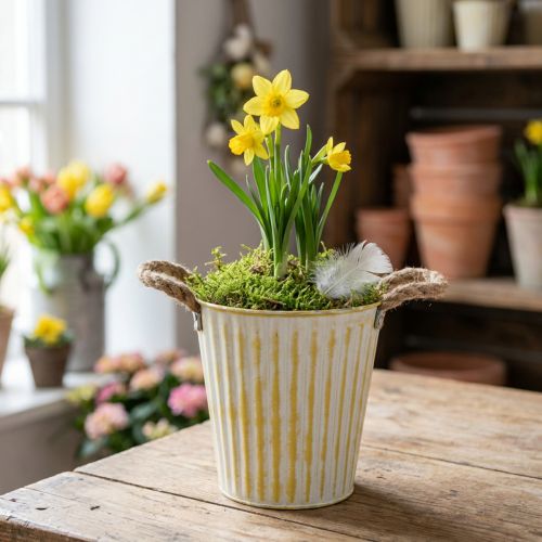 Kovový květináč, jarní dekorace, květináč s uchy, žlutý, shabby chic, Ø18cm, V17,5cm | Floristik24.cz