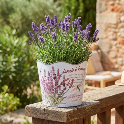 Sázecí plastový květináč letní levandule Ø16,5cm V13,5cm | Floristik24.cz