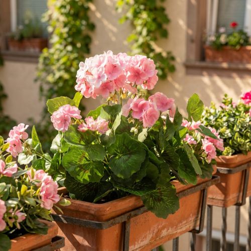 Geranium umělá květina Růžová muškátová keř umělá 7 květů V38cm | Floristik24.cz
