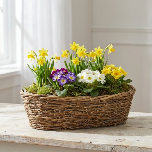 Přírodní květináč na vinnou révu, oválný květináč, 40x19x11,5 cm | Floristik24.cz