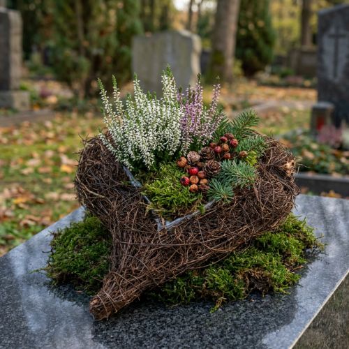 položky Vinné srdce na výsadbu přírody 30cm x 25cm
