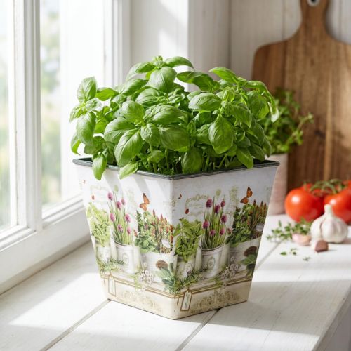 Květináč na bylinky, květináč s motivem, květináč V13cm Š13,5cm | Floristik24.cz