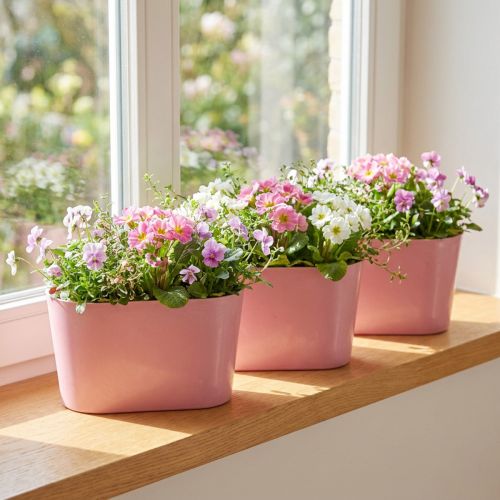 Miska na rostliny oválná růžová dekorativní miska plastová 20×10×11cm 3ks | Floristik24.cz