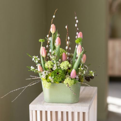 Miska na rostliny oválná zelená plastová miska 20×10×11cm 3 ks | Floristik24.cz