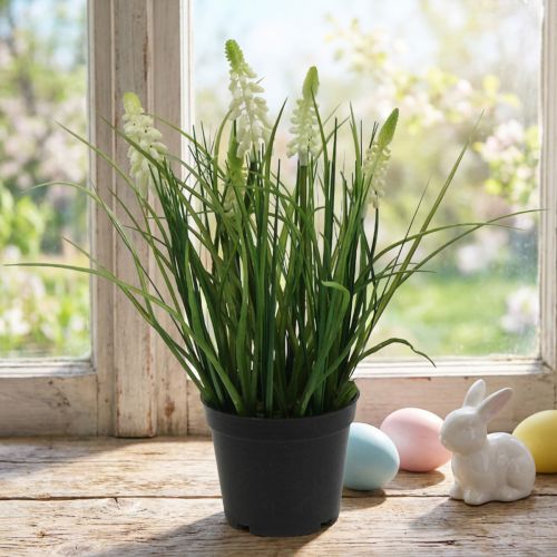 položky Deco hroznový hyacintový krém v květináči 26cm