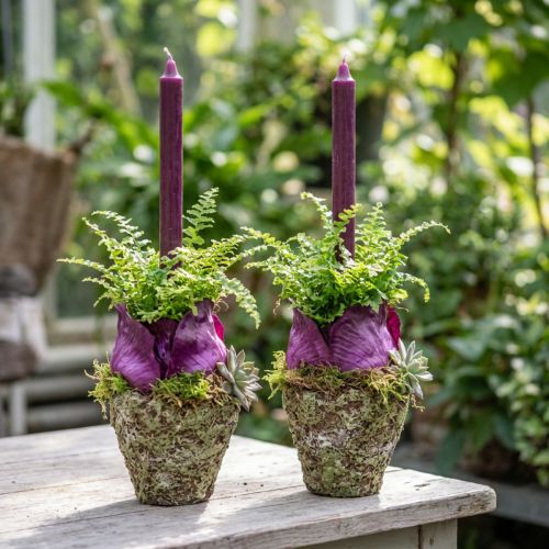 Květináč rustikální lesní vzhled Ø12,5 cm V12 cm 2 ks | Floristik24.cz