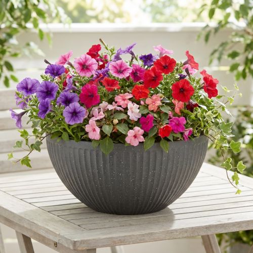 Plastová miska na rostliny antracitová Ø35cm V16,5cm | Floristik24.cz