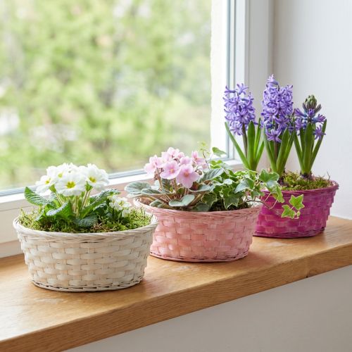 Košík na třísky kulatý fialová/bílá/růžová Ø25cm 6 ks | Floristik24.cz