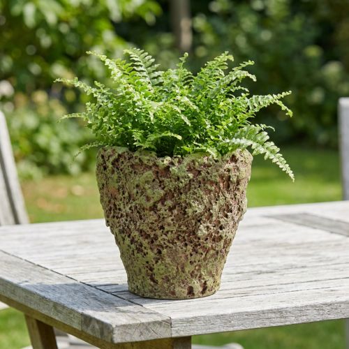 Květináč rustikální mechový vzhled Ø17cm V16,5cm | Floristik24.cz