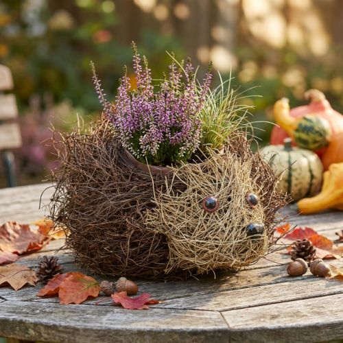 Květináč na ježka z vinné révy 22 cm x 25 cm | Floristik24.cz