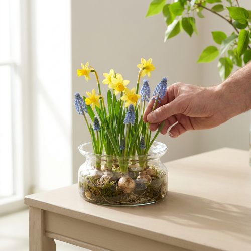 Skleněná mísa dekorativní mísa skleněná plovoucí mísa Ø16cm V8cm | Floristik24.cz