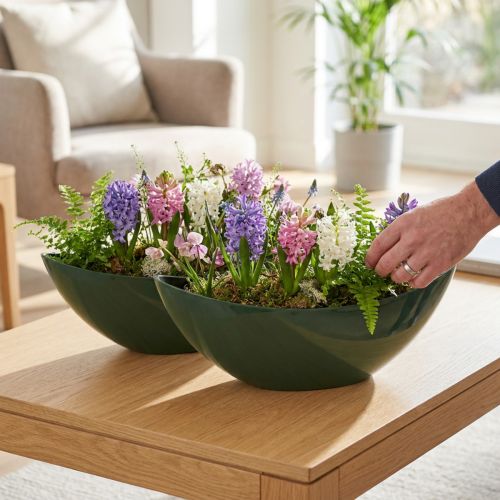 Stylová lodní miska v tmavě zelené barvě - ideální pro výsadbu - 39 cm 2ks | Floristik24.cz