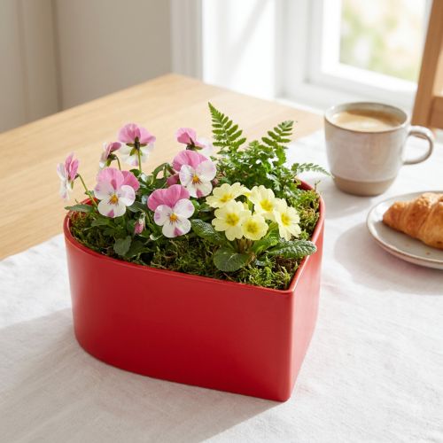 položky Romantické rostlinné srdce miska na rostliny srdce červené 15×15×7cm 3ks