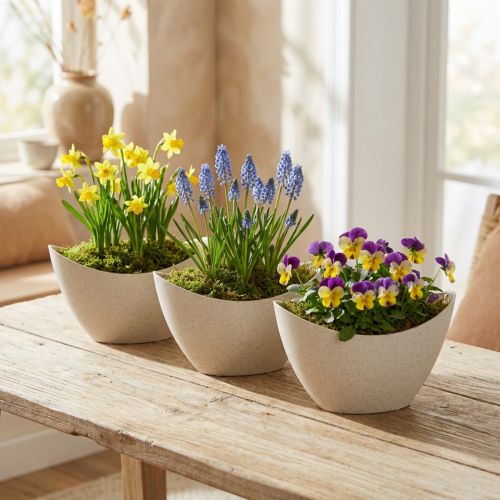 položky Rostlinná loď dekorativní miska plastová béžová 20×9cm H12cm 3ks