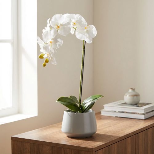 Umělá orchidej, klamně