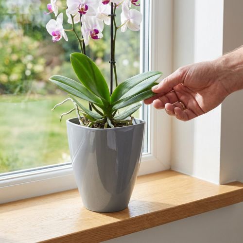 Květináč na orchidej lesklý Ø12,5cm šedý 1 ks | Floristik24.cz