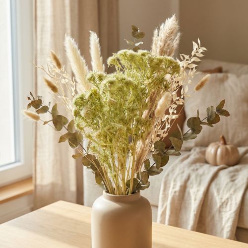 Suchá dekorace divoký bodlák světle zelený 85g | Floristik24.cz