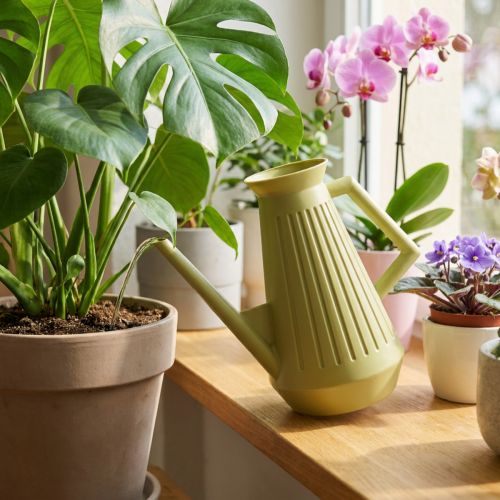 Vnitřní konev na zalévání, olivově zelená, retro styl, 24,5 cm, 1,8 l, designová konev na zalévání, plastová, zalévání rostlin | Floristik24.cz