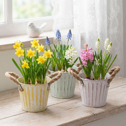 Květináč, kovový květináč s uchy, dekorativní květináč, růžový/zelený/žlutý, shabby chic, Ø12 cm, V10 cm, sada 3 ks | Floristik24.cz