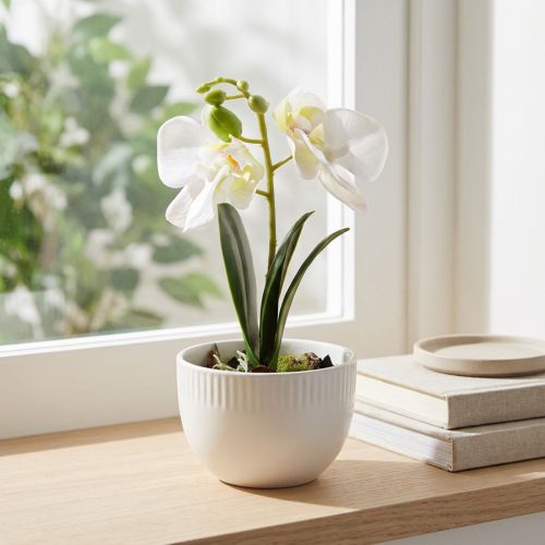 Mini orchidej umělé bílé orchideje v květináči 15cm | Floristik24.cz