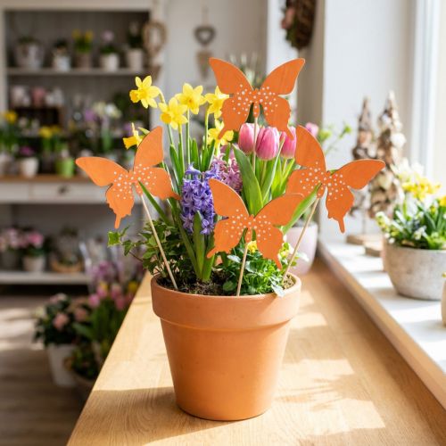 Motýlí dřevěná květinová zátka barevná 9cm/29cm 12ks | Floristik24.cz