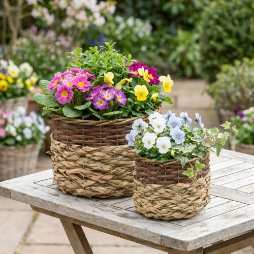 Proutěný košík Natural Proutěná miska na rostliny Natural L30/22cm V20/17cm Sada 2 ks | Floristik24.cz
