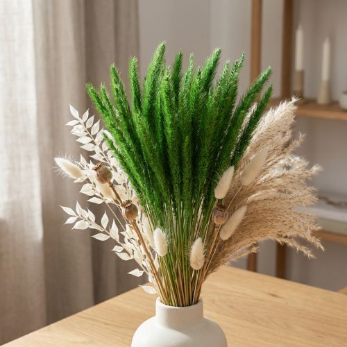 položky Zeleno štětinové proso Setaria viridis suchá tráva 52cm 28g
