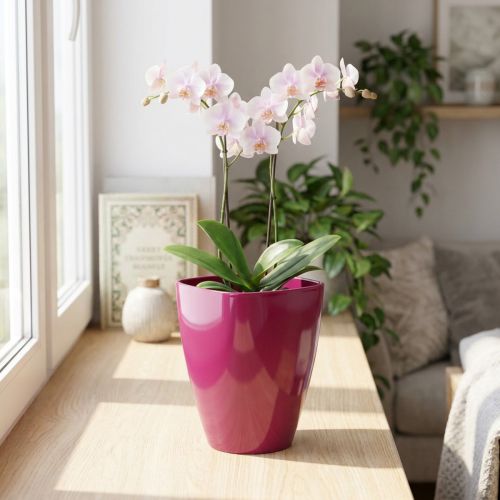 Květináč na orchidej lesklý Ø12,5cm třešeň 1 kus | Floristik24.cz