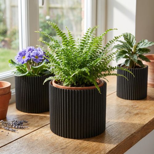 Papírový květináč černý Ø19cm V14cm 3 ks | Floristik24.cz