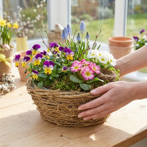 Miska na květináče, kulatá, vzor révy vinné, přírodní, Ø23cm, V9,5cm | Floristik24.cz